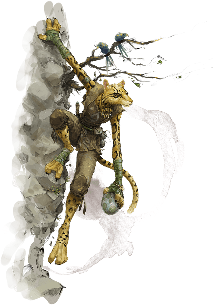 VGtM Tabaxi.png250