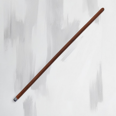 Veteran's Cane.png
